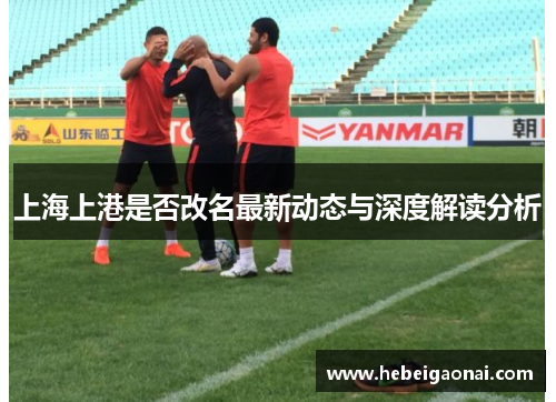 上海上港是否改名最新动态与深度解读分析