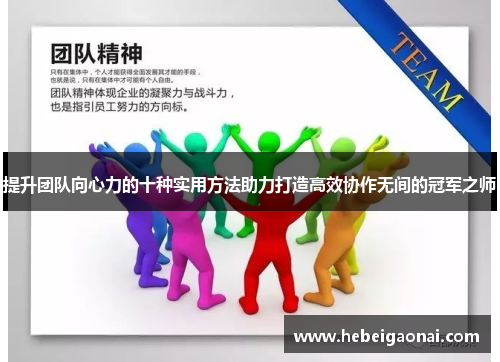 提升团队向心力的十种实用方法助力打造高效协作无间的冠军之师