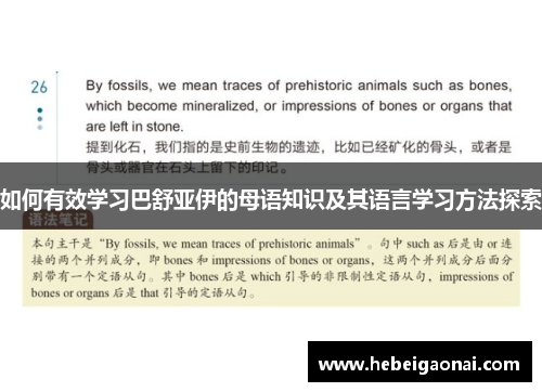 如何有效学习巴舒亚伊的母语知识及其语言学习方法探索