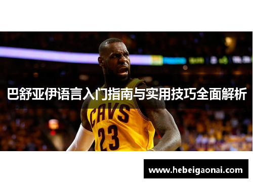 巴舒亚伊语言入门指南与实用技巧全面解析